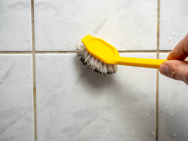 Water Damage Restoration in Hampshire, IL