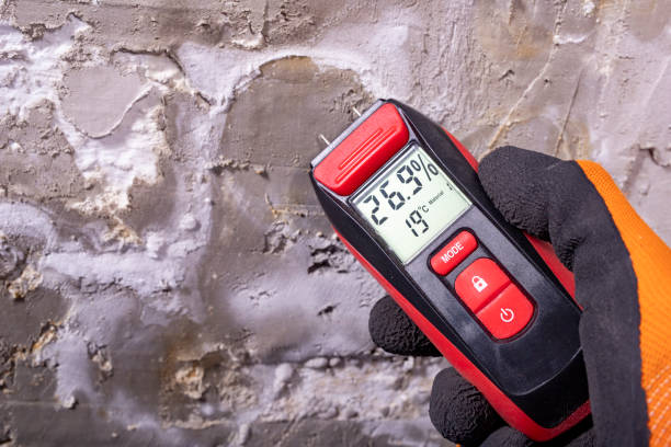 Best Mold Cleaning Services  in Hampshire, IL