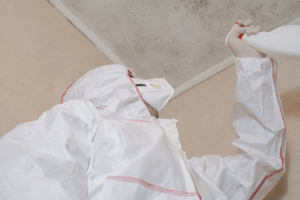 Best Emergency Mold Removal  in Hampshire, IL